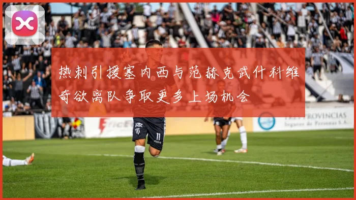 热刺引援塞内西与范赫克武什科维奇欲离队争取更多上场机会